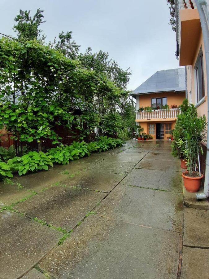 Pensiunea Covaciu Vadu Izei Buitenkant foto