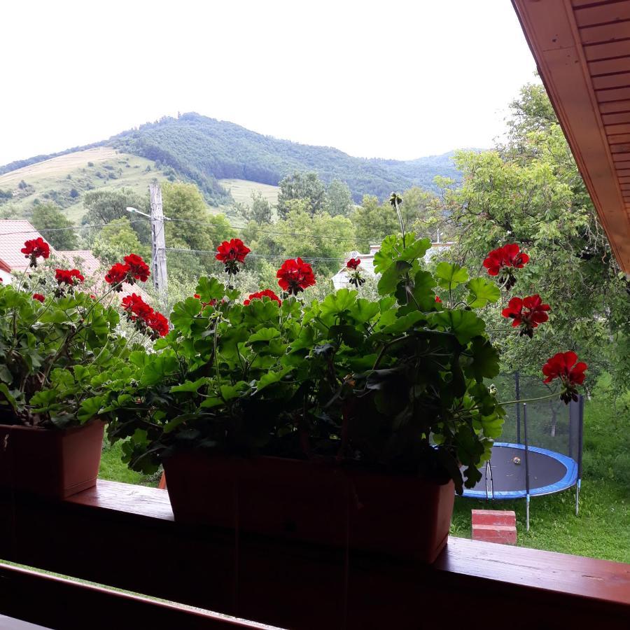 Pensiunea Covaciu Vadu Izei Buitenkant foto