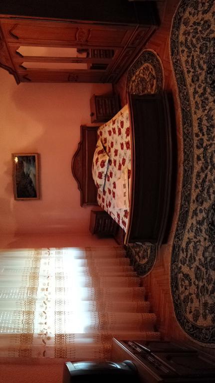 Pensiunea Covaciu Vadu Izei Buitenkant foto