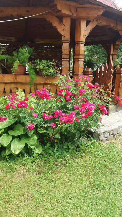 Pensiunea Covaciu Vadu Izei Buitenkant foto