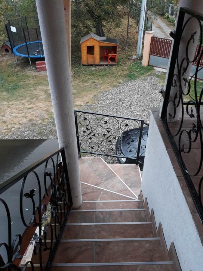 Pensiunea Covaciu Vadu Izei Buitenkant foto